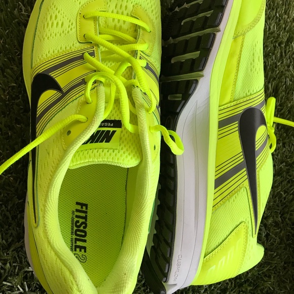 pegasus 29